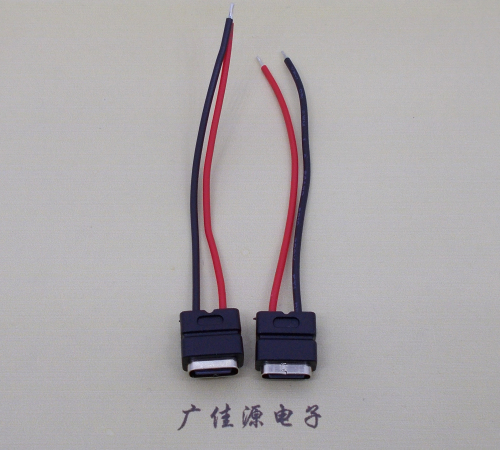 长沙type c2p防水母座焊线式带线注塑成型带接线端子/不带接线端子充电连接器