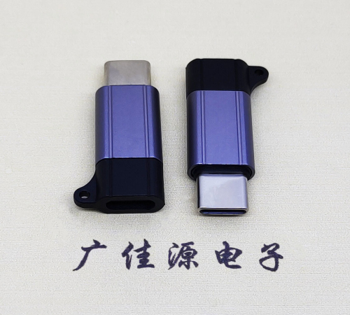 长沙Type-C母转Type-C公 USB3.1 PD100W快冲接口